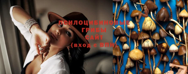 соль курить ск Дмитровск