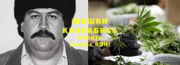 мескалин Заводоуковск