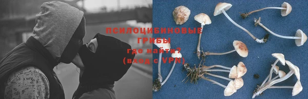 эйфоретик Инсар