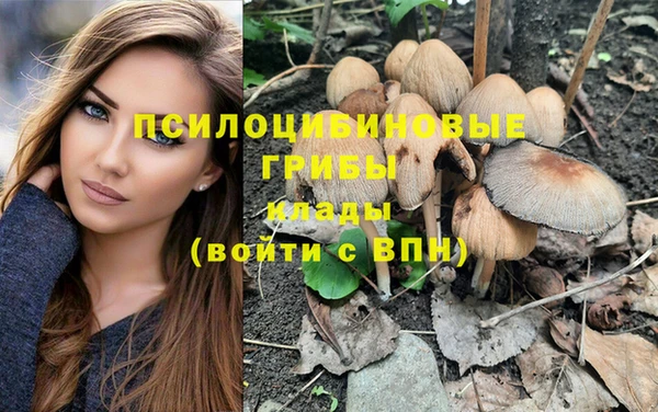 метадон Елизово