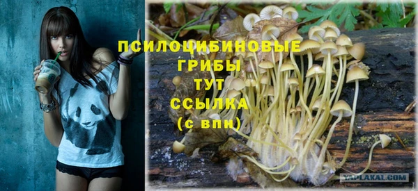 не бодяженный Ельня