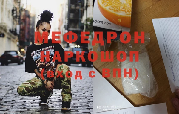 spice Инта