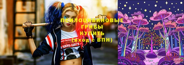 эйфоретик Инсар