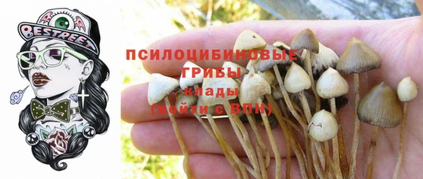 мескалин Заводоуковск