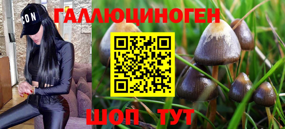 Галлюциногенные грибы MAGIC MUSHROOMS Клинцы