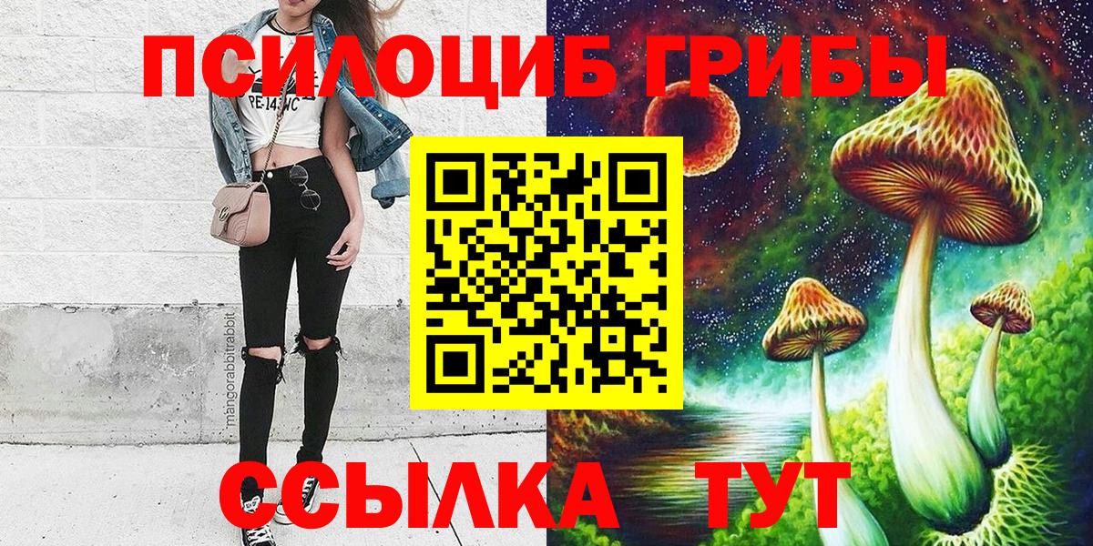 Клинцы  Галлюциногенные грибы Psilocybine cubensis  Псилоцибиновые грибы Psilocybe  Вход с VPN 
